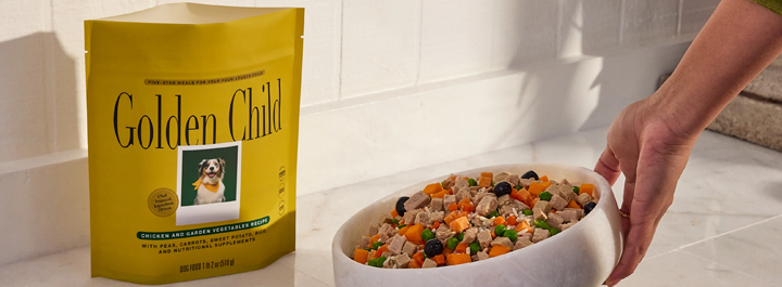 Golden Child Fresh Dog Food in Bowl