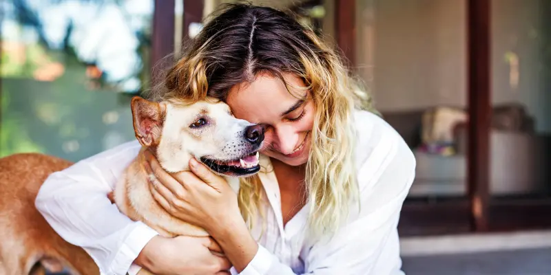 Pet Psychics